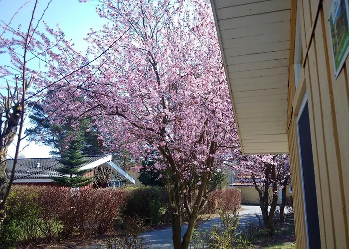 Seeschwalbe 98 בית נופש